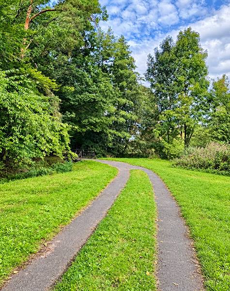 Asphaltierter Rad- und Gehweg durch grüne Wiesenlandschaft mit Bäumen unter leicht bewölktem Himmel
