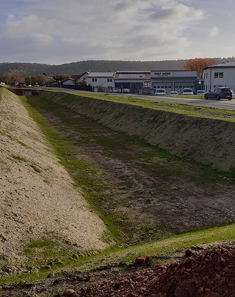 Begrünter Versickerungsgraben neben Straße mit Gewerbegebäuden und parkenden Fahrzeugen im Hintergrund bei Herbstlicht